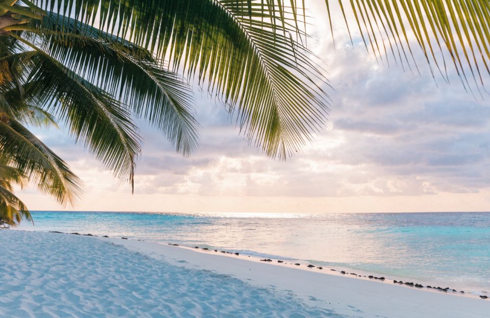 Tropical beach with palm leaves and turquoise water